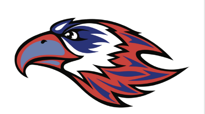 Frankie the Falcon — Forest Hills mascot